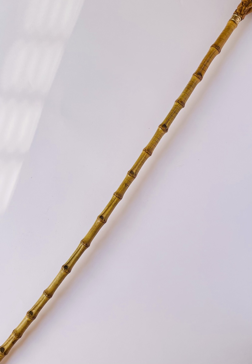 Andromeda Walking Stick Made Of Carved Boxwood -photo-4